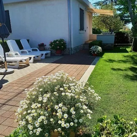 House Of Albina- 10 M Od Mora Prázdninový dům