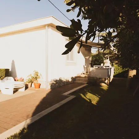 House Of Albina- 10 M Od Mora