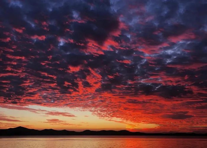 Nyaraló House Of Albina- 10 M Od Mora Zára