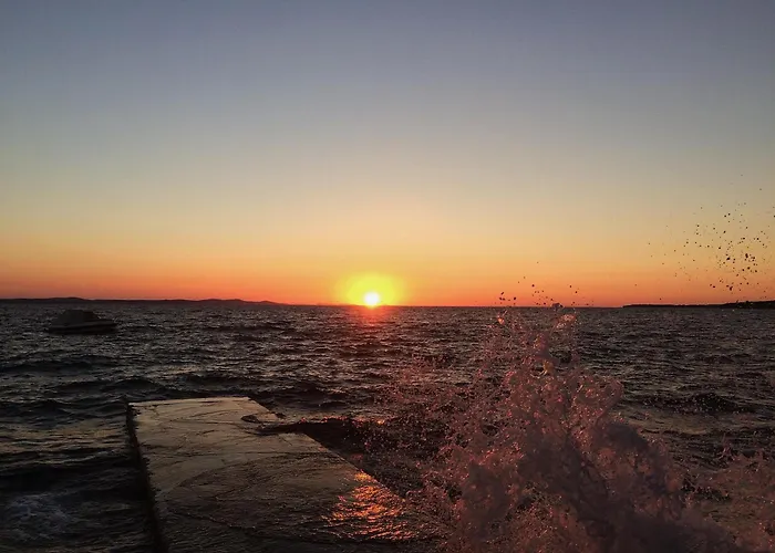 House Of Albina- 10 M Od Mora